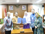 PKS IPB1-a